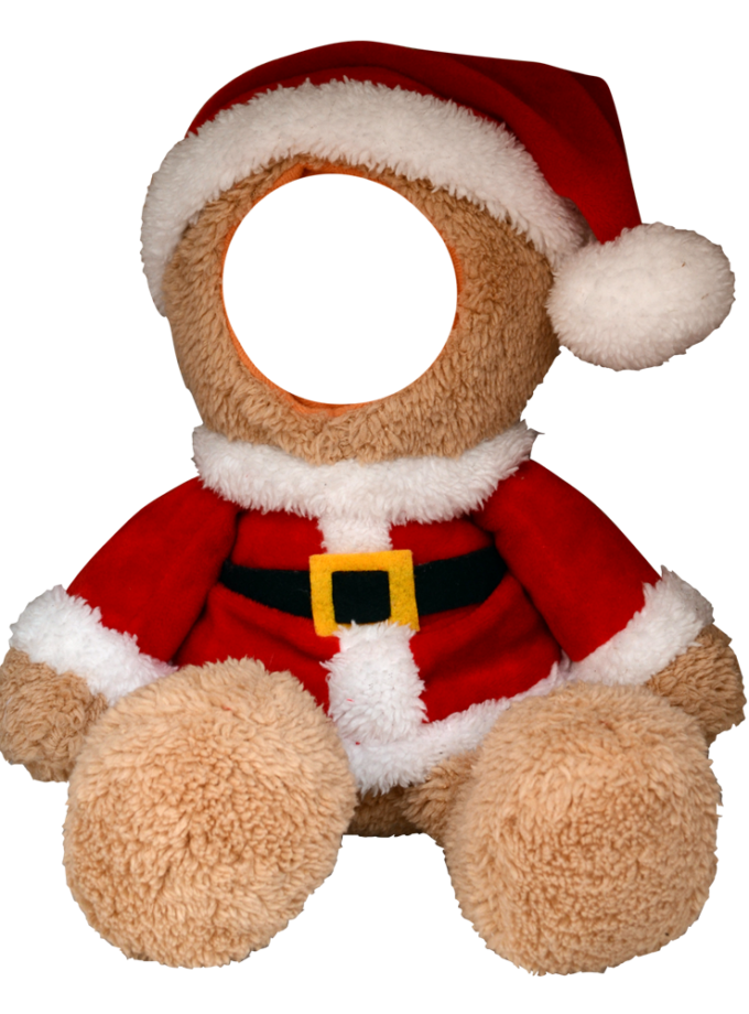 Santa Bear
